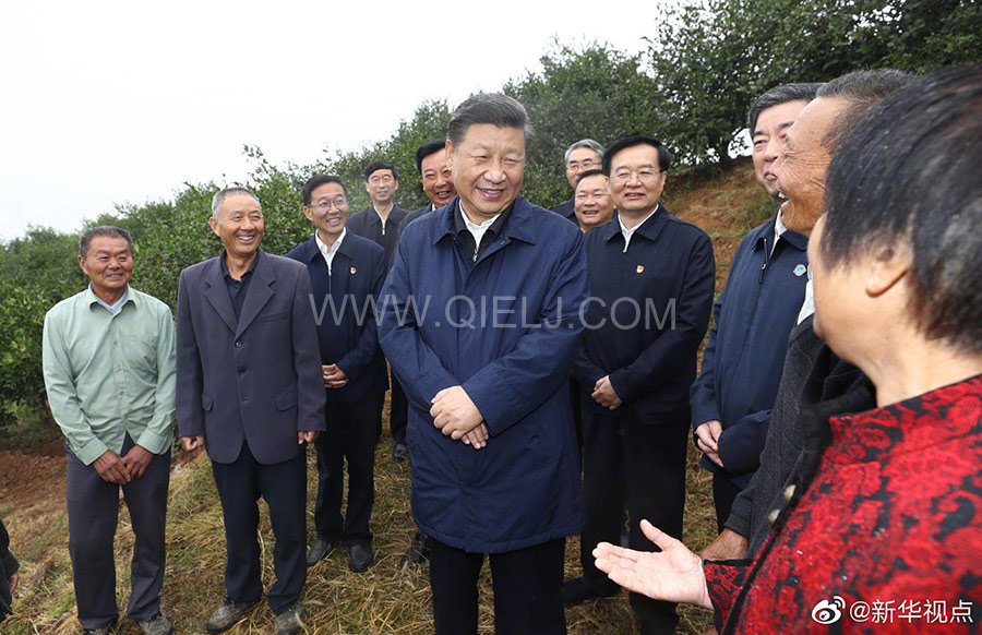 光山油茶籽榨油設(shè)備，山茶籽油榨油機(jī)廠家(圖2)